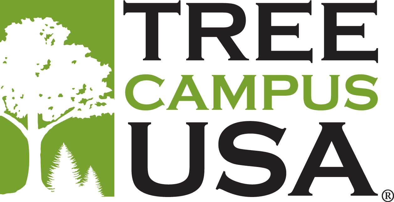 LOGO FOR TREE CAMPUS USA PROGRAM.  LIGHT GREEN RECTANGLE WITH A SOLID WHITE TREE INSIDE.